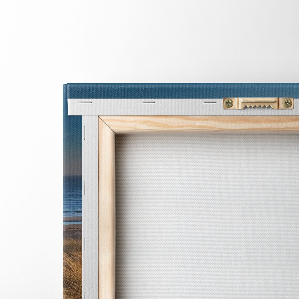 Path to the beach Path to the beach