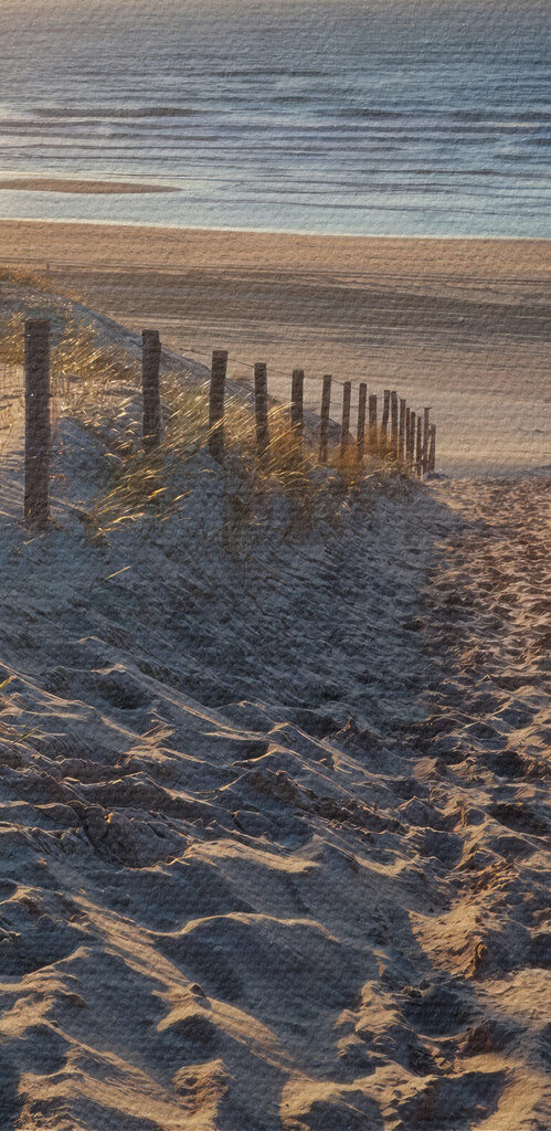 Path to the beach Path to the beach