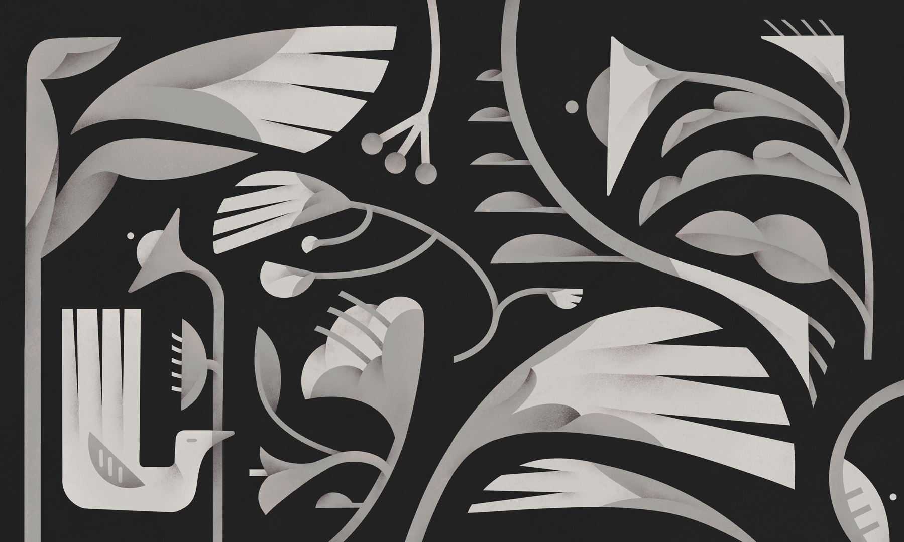 Black and white floral design Black and white floral design