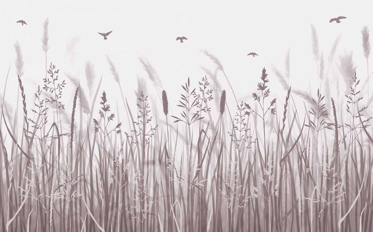 Field of grass with birds flying Field of grass with birds flying