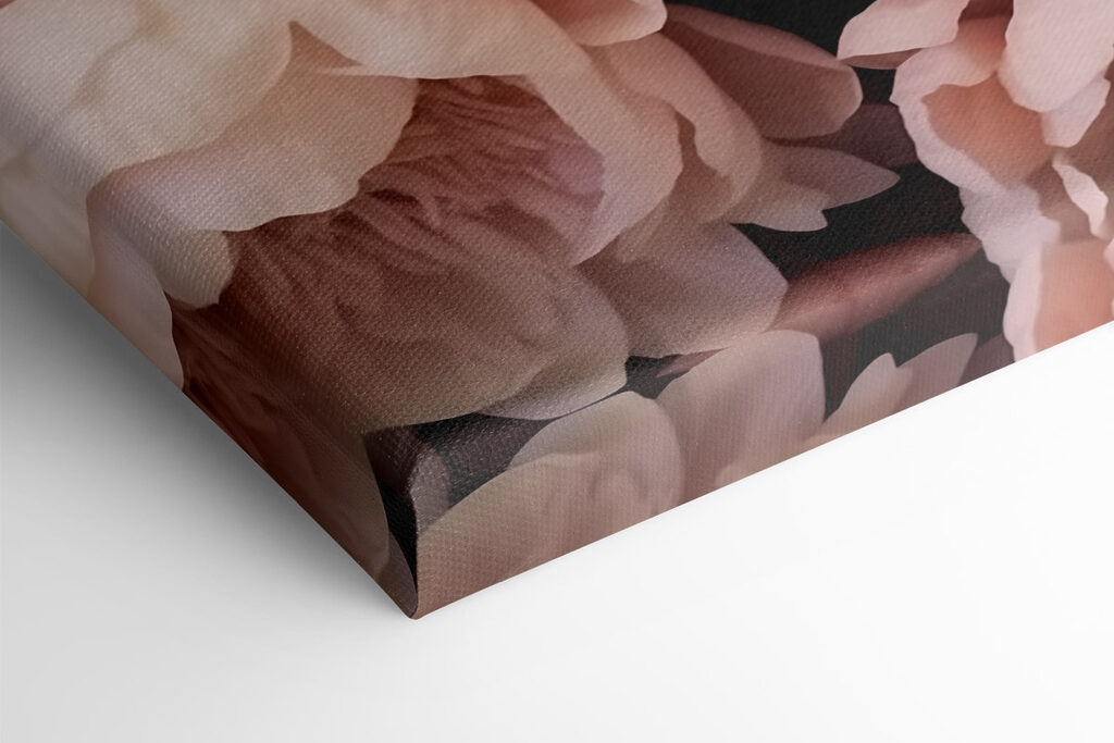 Group of pink flowers