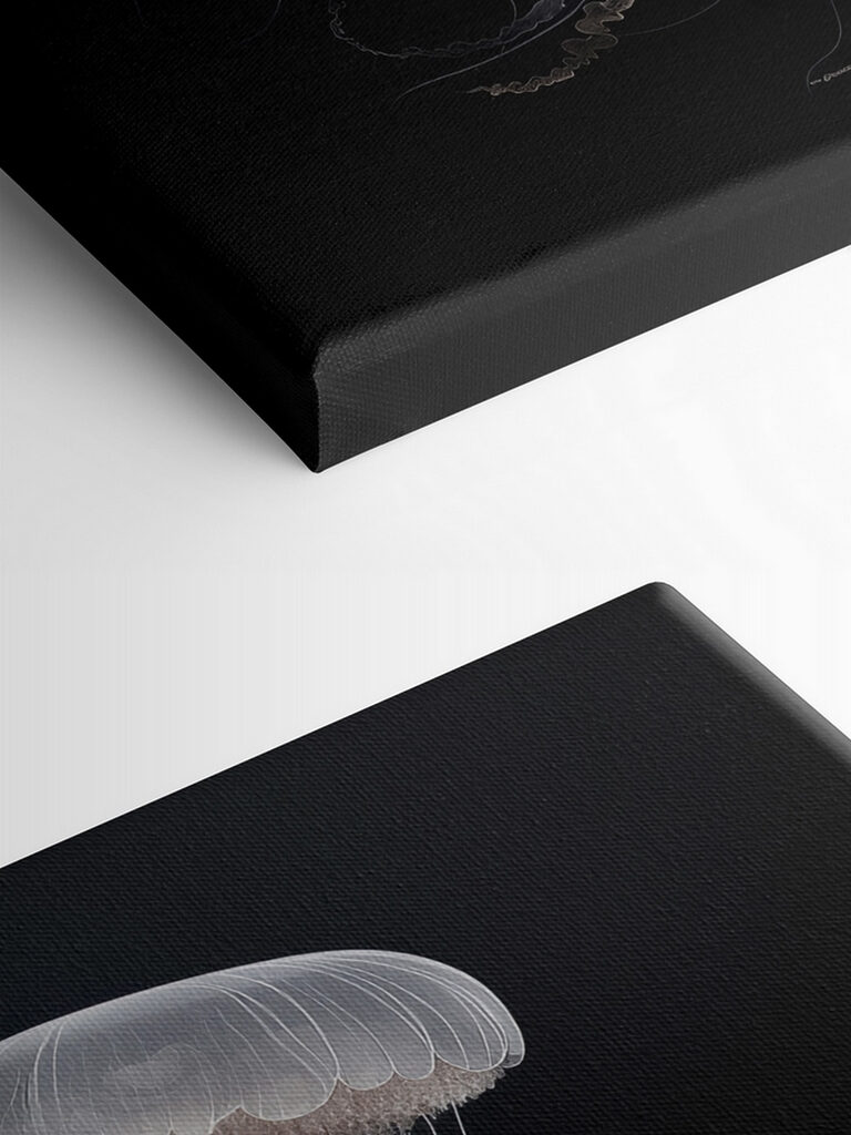 Jellyfish with long tentacles