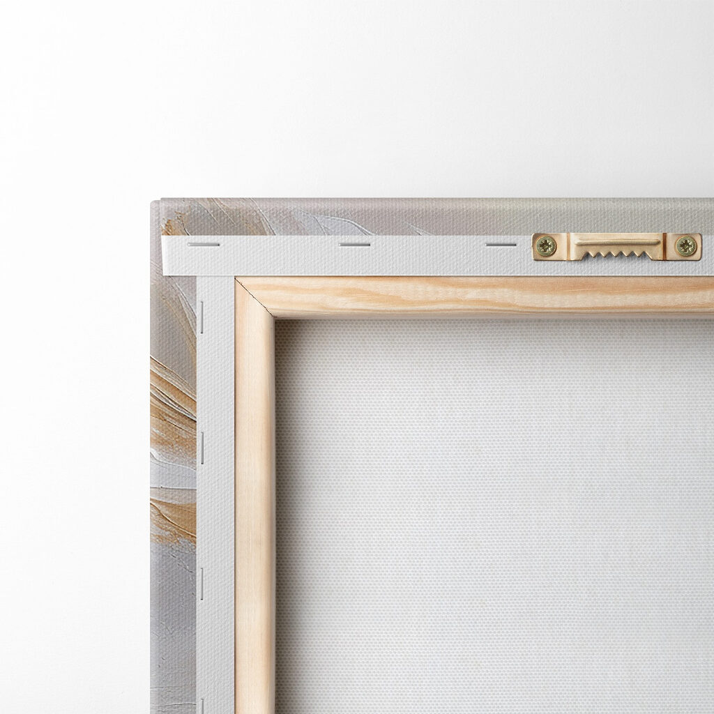 Delicate feather on a soft background