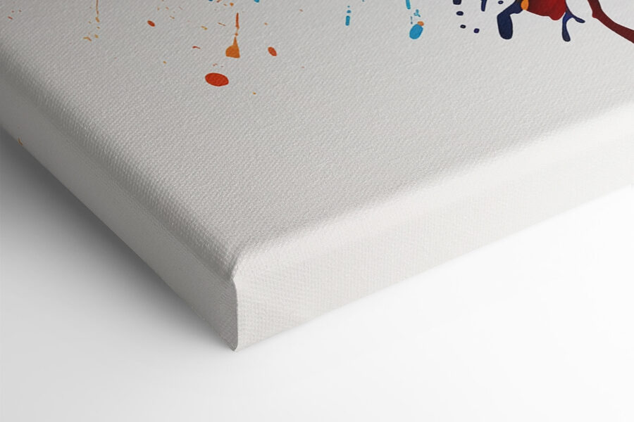Tablouri Fluture colorat cu stropi de vopsea - imagine 9