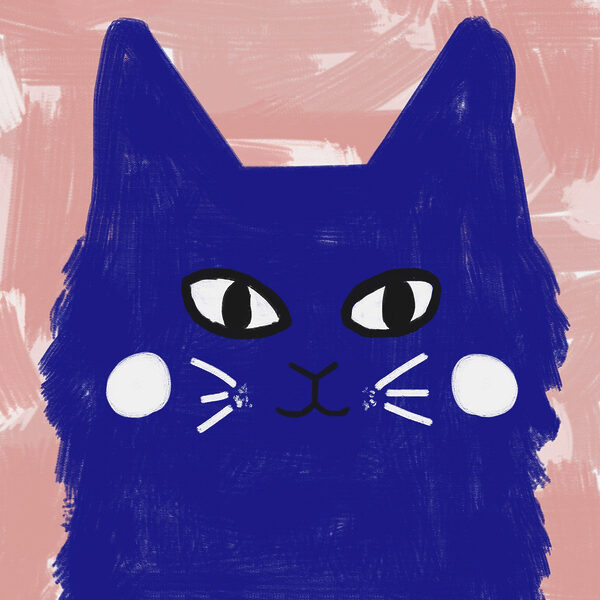 Blue cat with white eyes and whiskers Blue cat with white eyes and whiskers