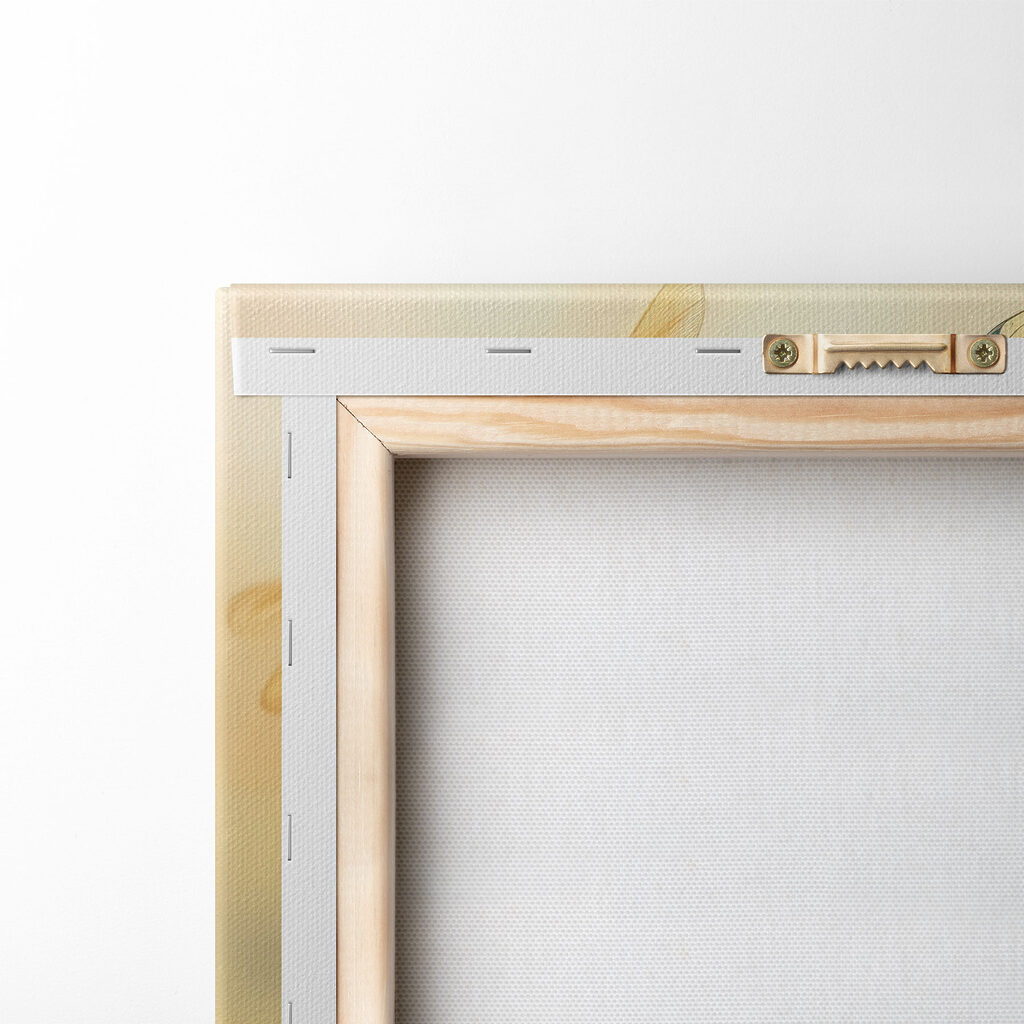 Dragonfly on a flower