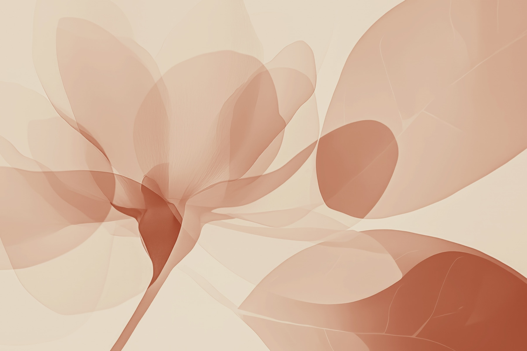 Soft petals in gentle hues
