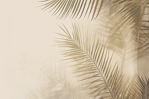 Soft leaves against a muted backdrop