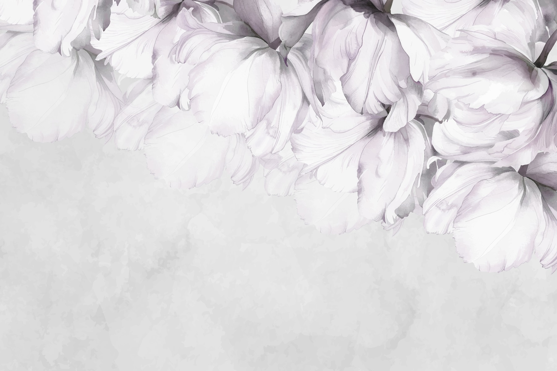 Soft petals against a muted background Soft petals against a muted background