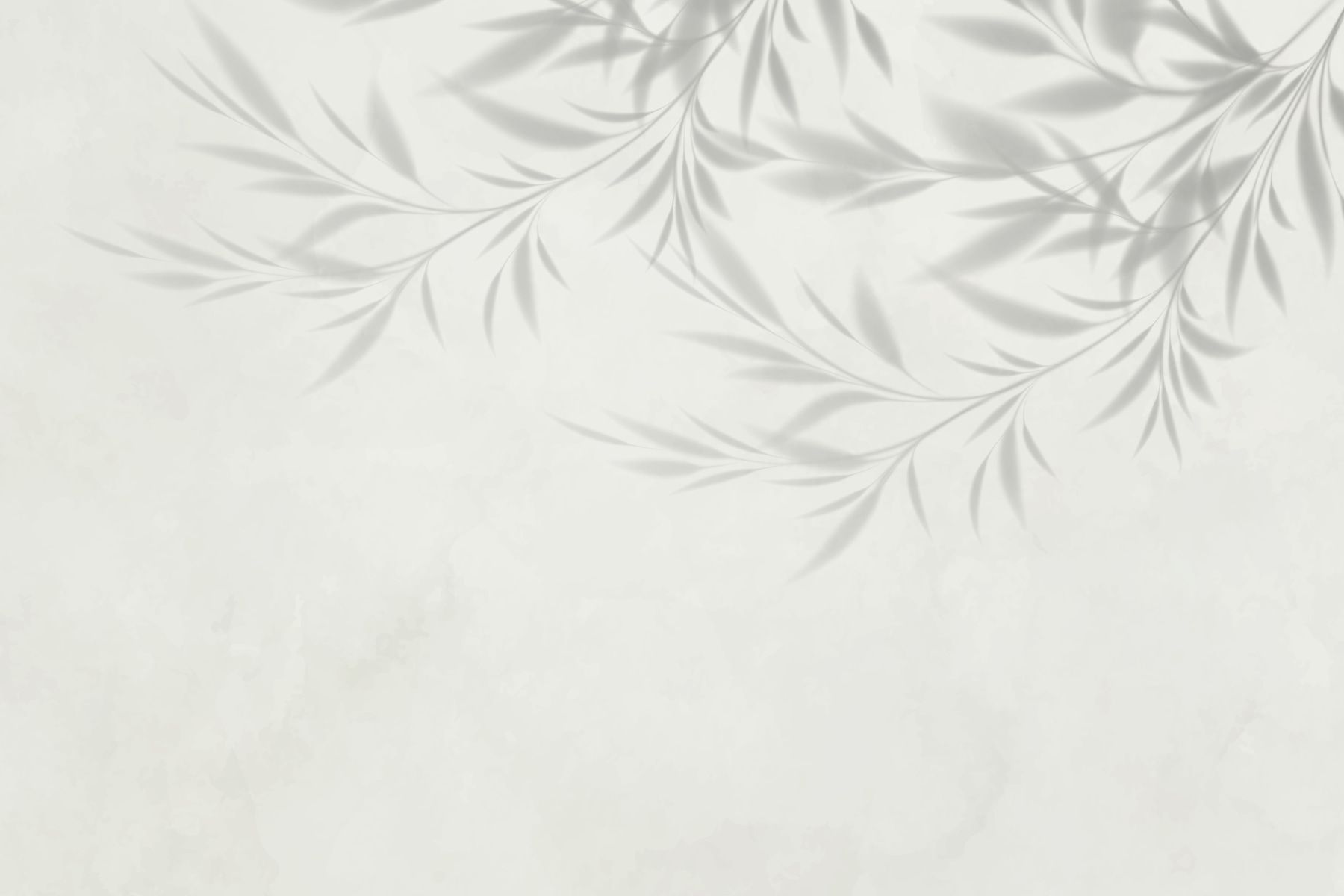 Shadow of leaves on a wall Shadow of leaves on a wall