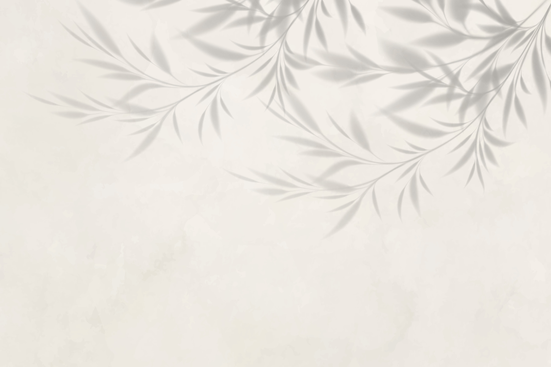 Shadow of leaves on a wall