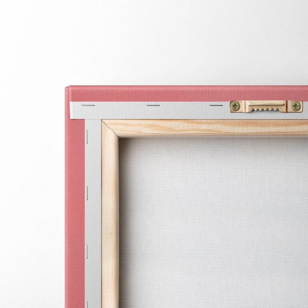 Majestic cat with striking markings