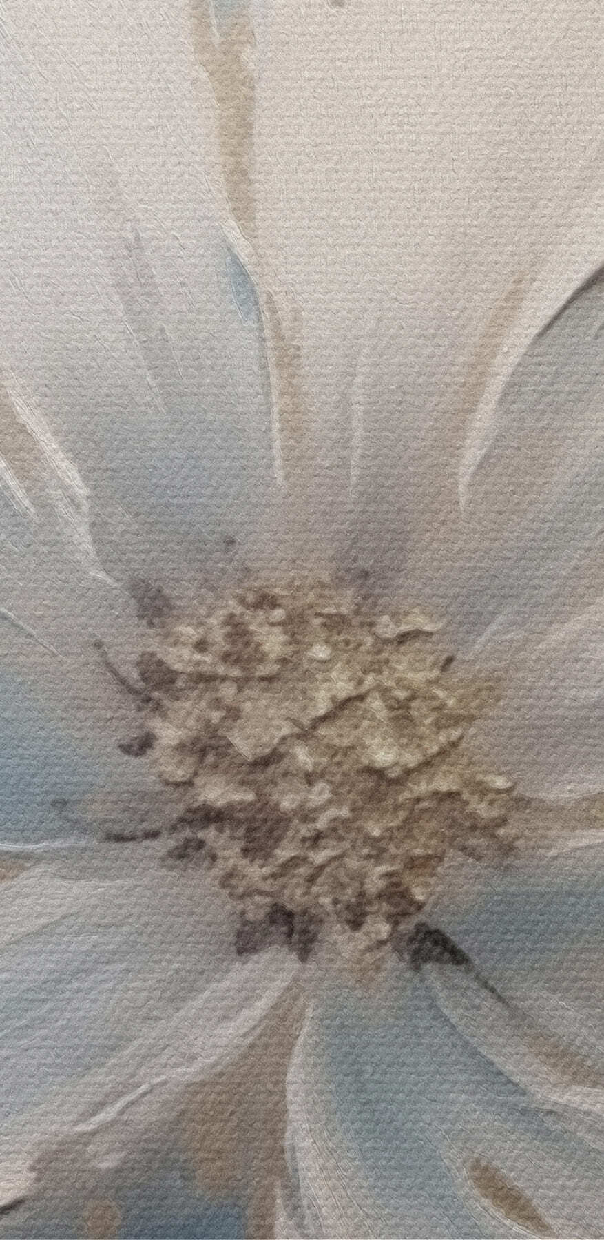 Pictura unei flori albe