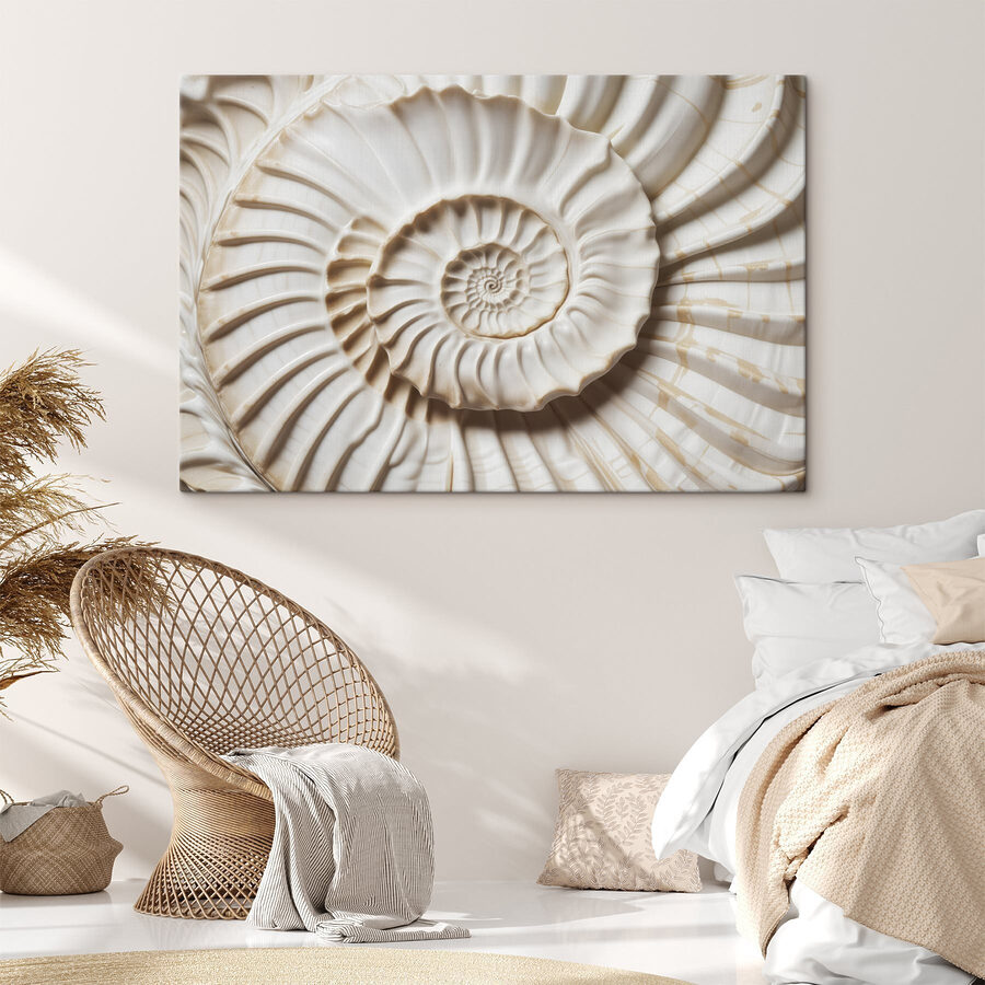 Model elegant de scoică în spirală afișat frumos. Model elegant de scoică în spirală afișat frumos.