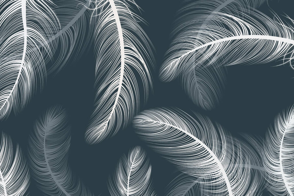 Delicate pene de dans pe fundal întunecat Delicate pene de dans pe fundal întunecat
