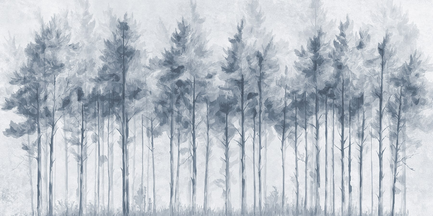 Group of trees in a forest Group of trees in a forest
