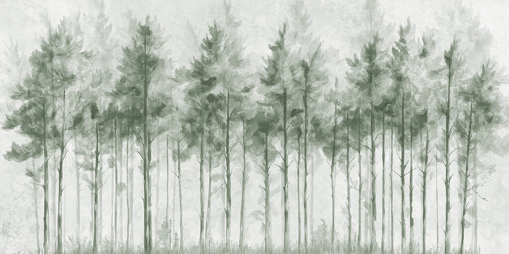 Group of trees in a forest