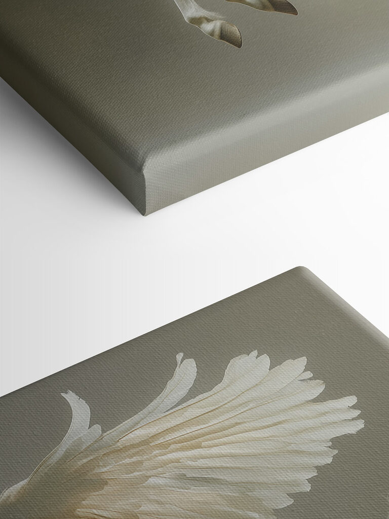 White horse with wings White horse with wings