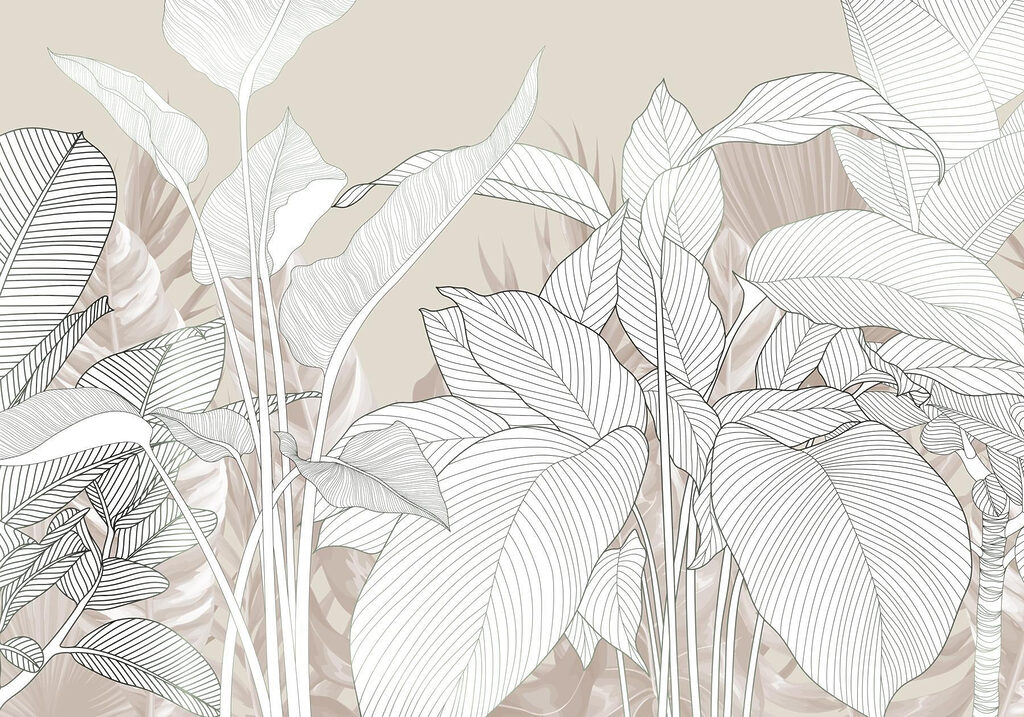 Linii delicate și texturi moi Linii delicate și texturi moi