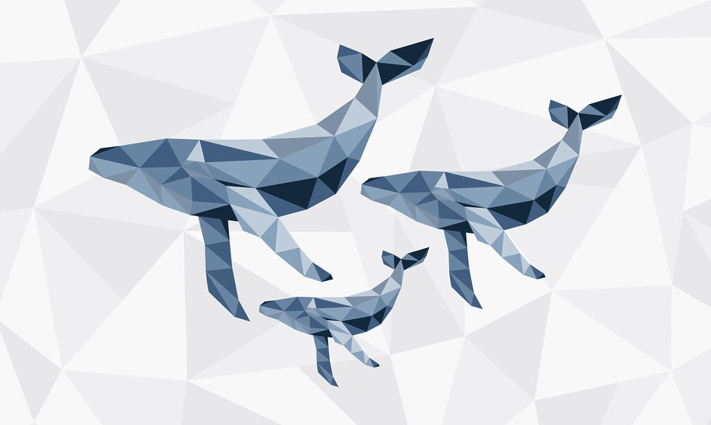 Group of whales in low poly style