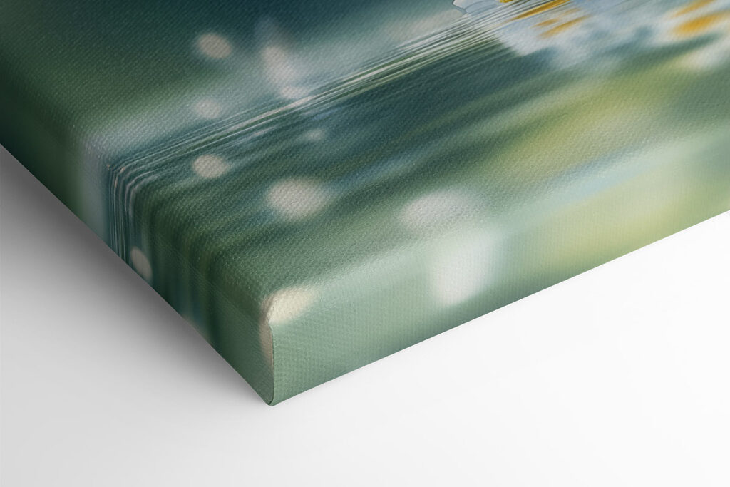 Butterfly on a flower