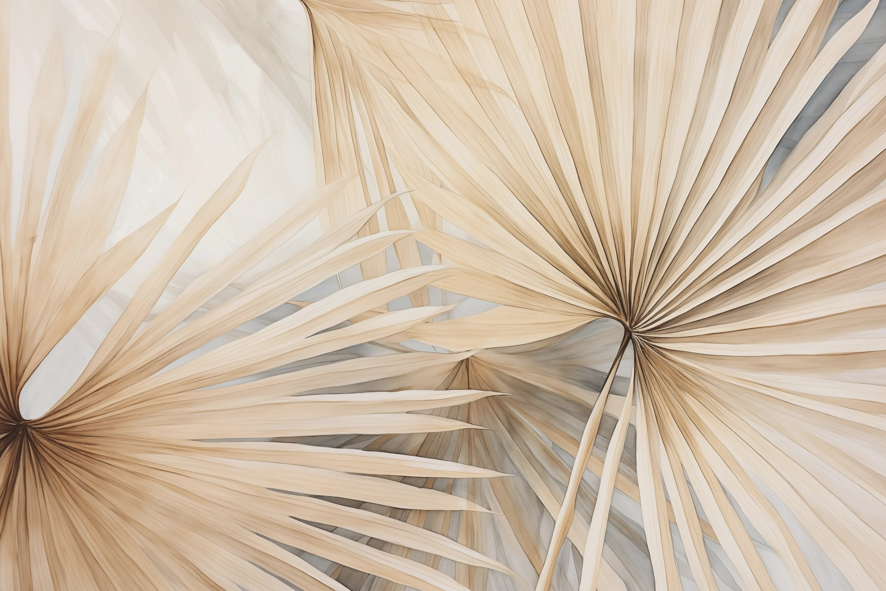 Nature’s elegant fan-shaped patterns