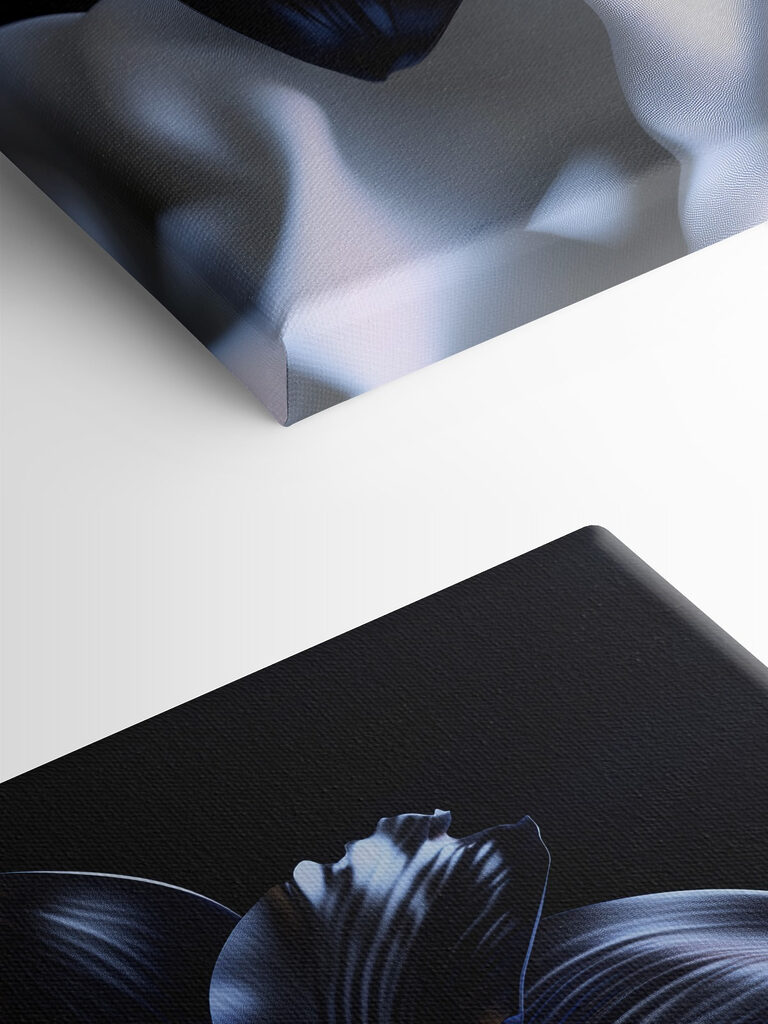 Black flower on a white cloth