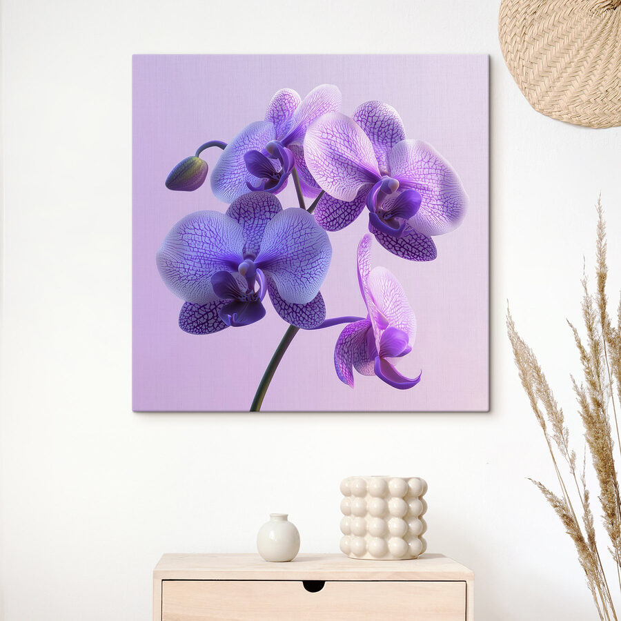 Floare de orhidee violet și alb