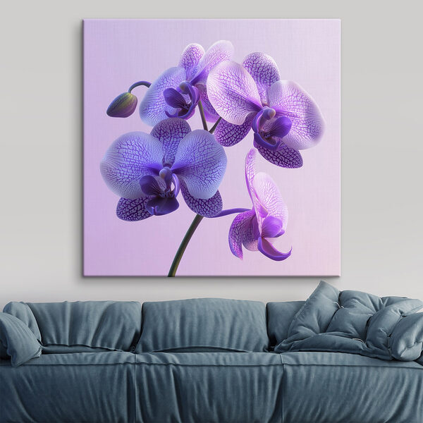 Floare de orhidee violet și alb Floare de orhidee violet și alb