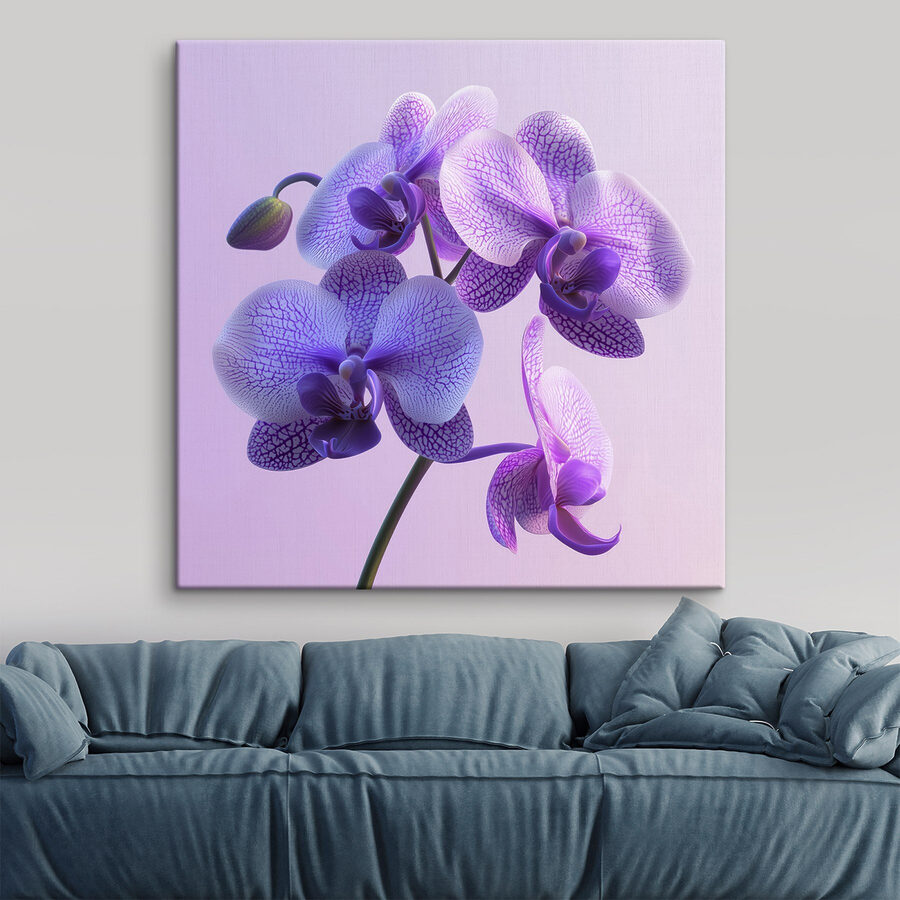 Floare de orhidee violet și alb