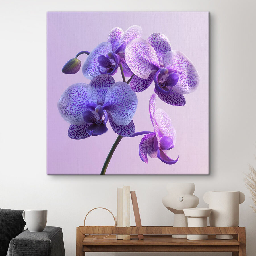 Floare de orhidee violet și alb