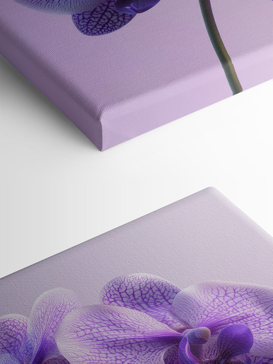 Floare de orhidee violet și alb