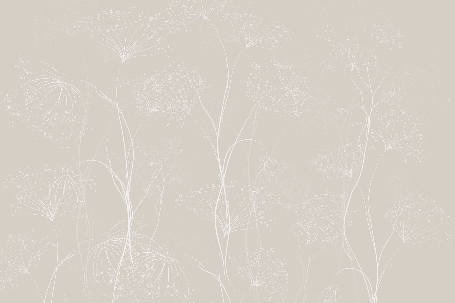 White flowers on a gray background White flowers on a gray background
