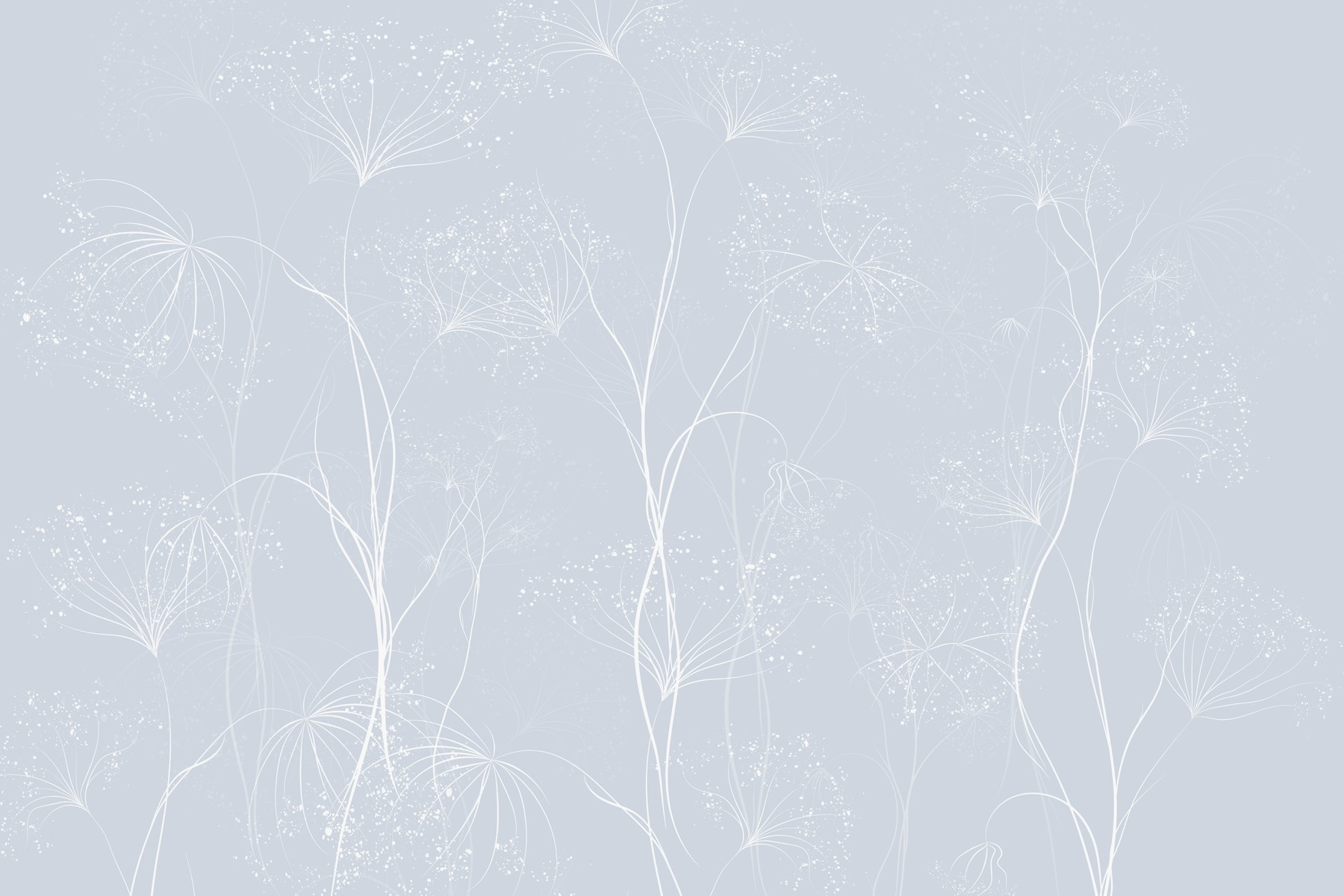 White flowers on a blue background White flowers on a blue background