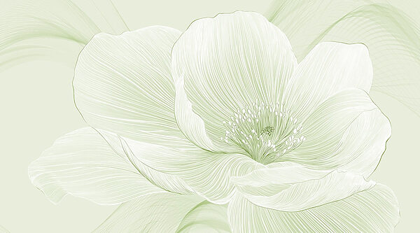 Delicate linii ale frumuseții naturii Delicate linii ale frumuseții naturii