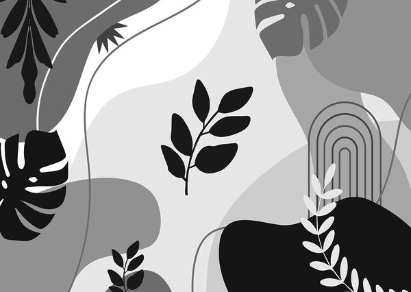 Imagine alb-negru de frunze și plante Imagine alb-negru de frunze și plante