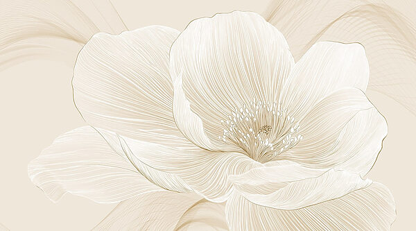 Linii delicate care definesc frumusețea florală Linii delicate care definesc frumusețea florală