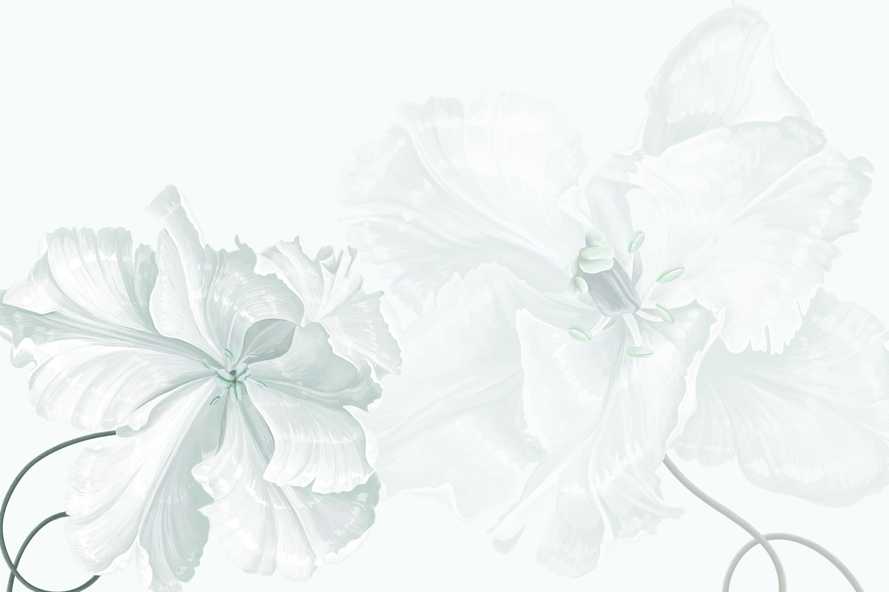 Delicate blooms in soft elegance Delicate blooms in soft elegance