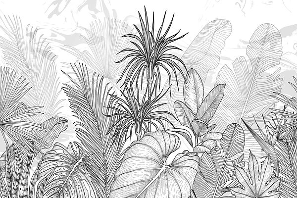 Desen alb-negru de plante Desen alb-negru de plante