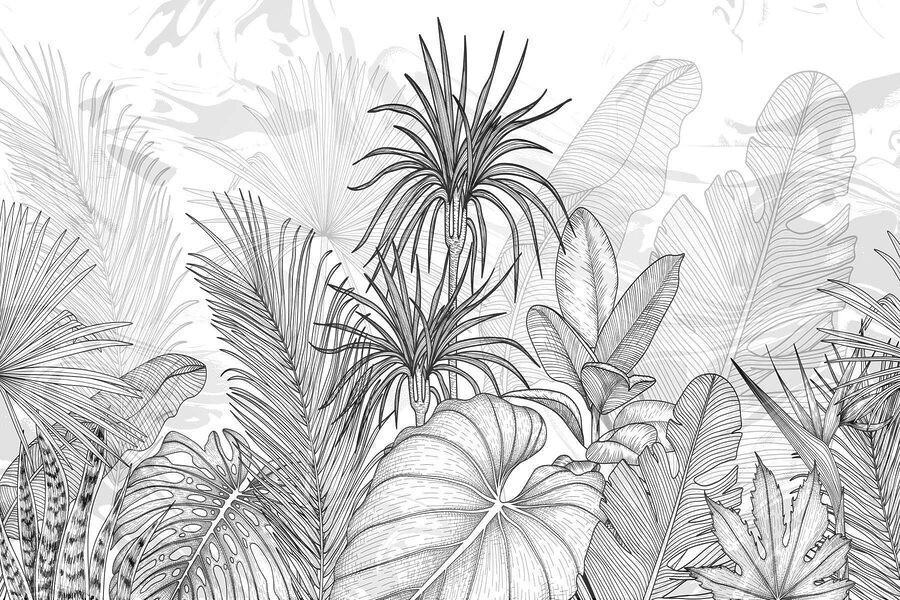 Fototapet Desen alb-negru de plante - imagine 4