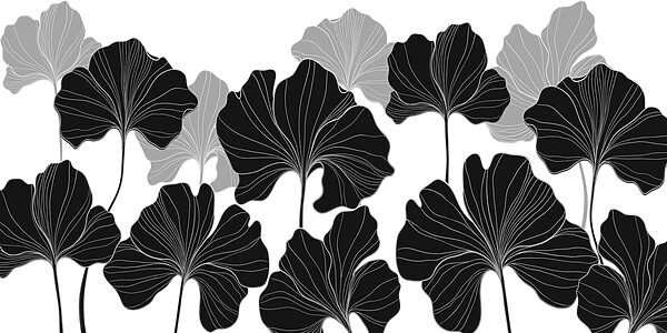 Design floral alb și negru Design floral alb și negru