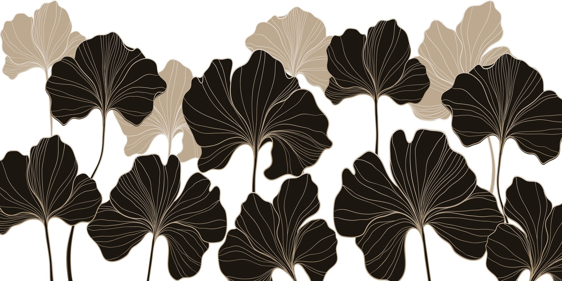 Nature's elegance in monochrome hues Nature's elegance in monochrome hues