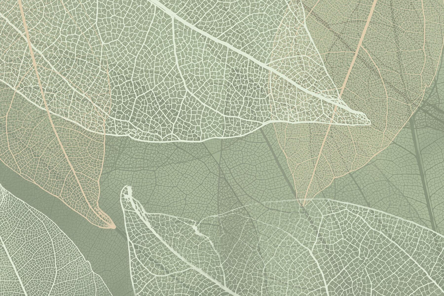 Modele delicate de design al naturii’s