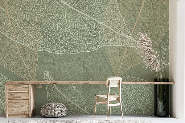 Modele delicate de design al naturii’s Modele delicate de design al naturii’s