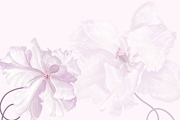Flori delicate în nuanțe delicate. Flori delicate în nuanțe delicate.