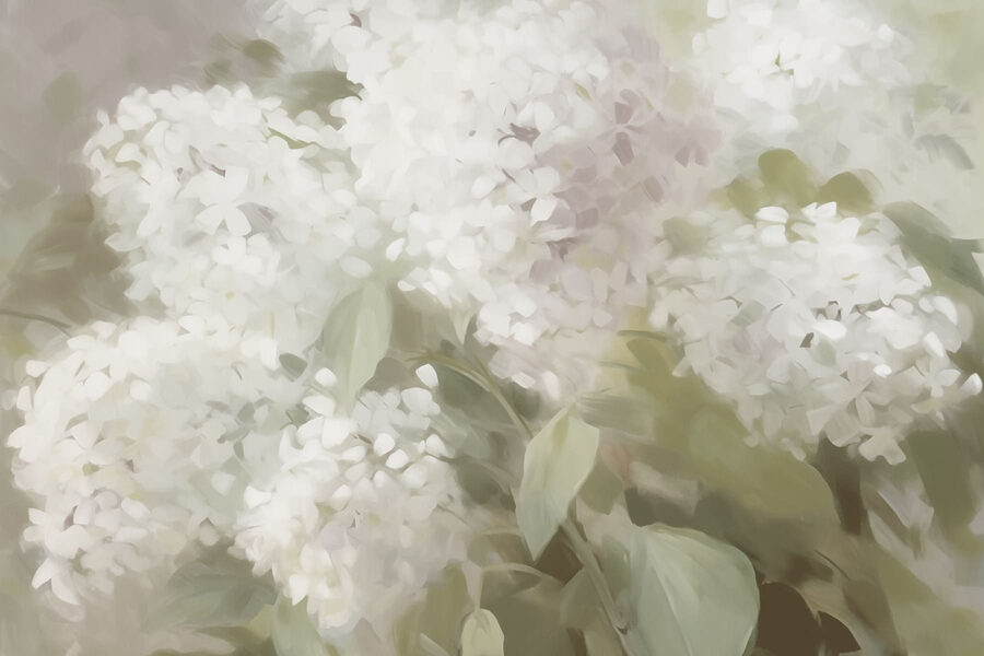 Fototapet Floare albă delicată în lumină blândă - imagine 5