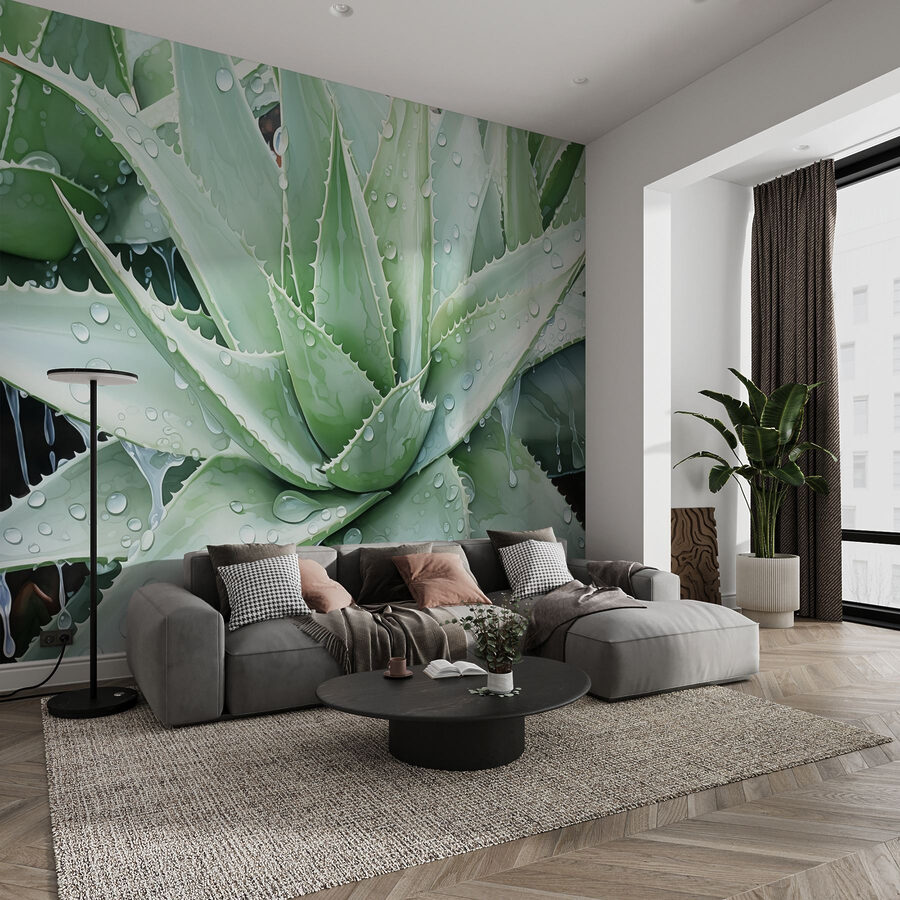 Aloe vibrantă cu picături de ploaie răcoritoare