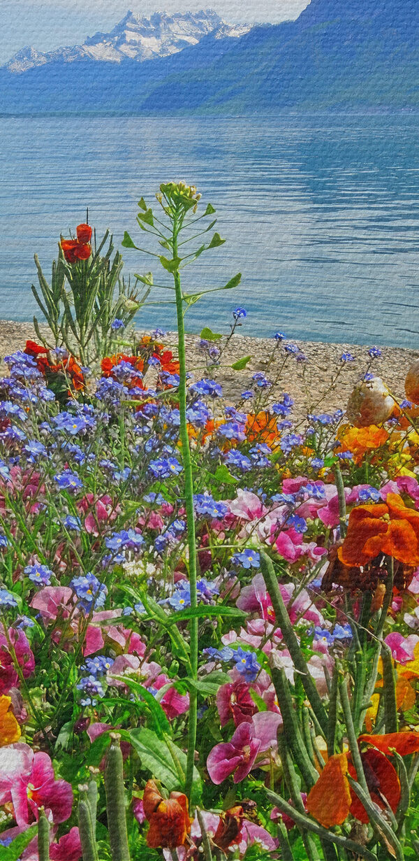 Pat de flori cu flori și un lac în fundal Pat de flori cu flori și un lac în fundal