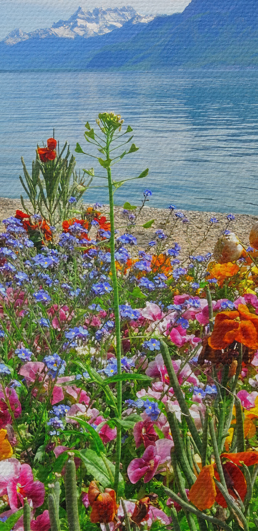 Pat de flori cu flori și un lac în fundal