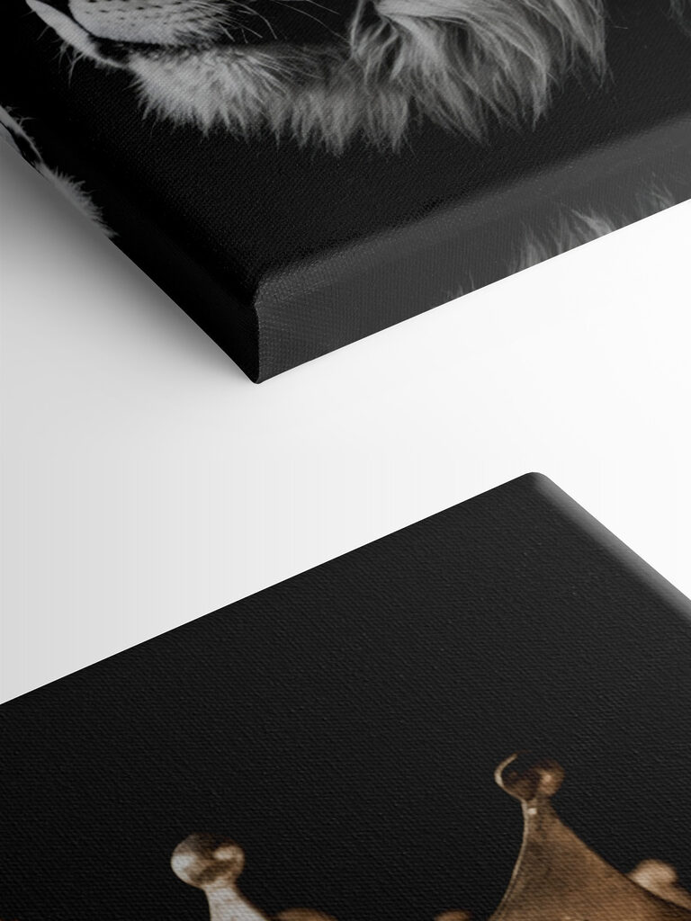 Lion wearing a crown